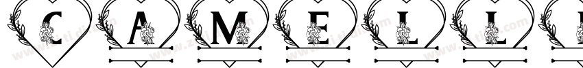 Camellia Script 字体转换